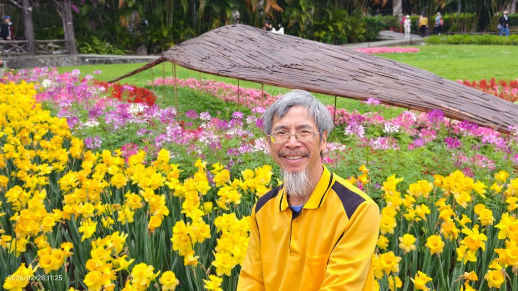 #士林官邸 #鬱金香 #中正紀念堂 #大漁櫻 2/28_3007934