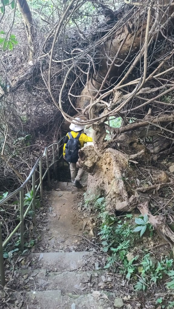 2026-0114溪州山小百岳_2984930