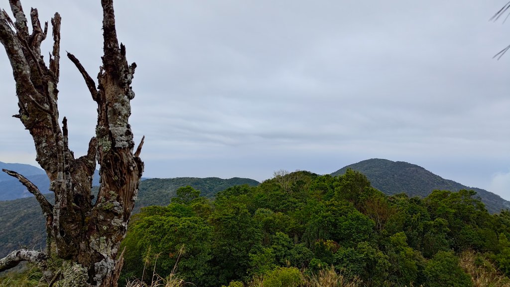 大武藏山封面圖