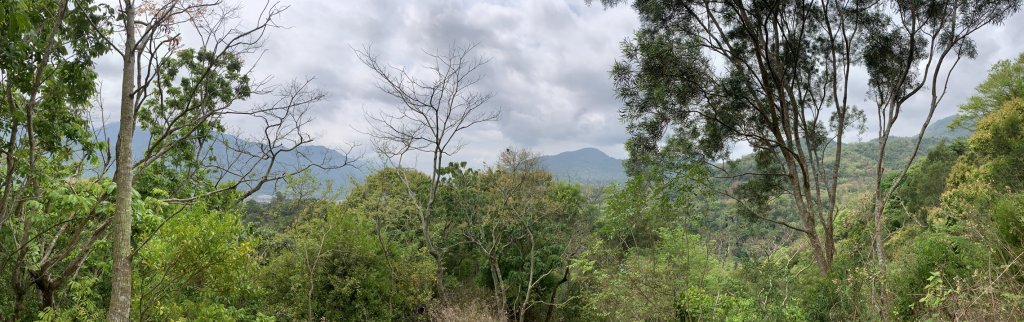 20250403高雄頂荖濃山封面圖