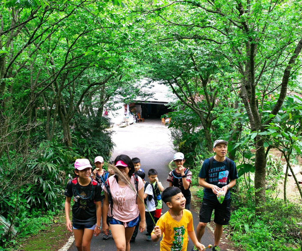 淡水天元宮步行到竹子湖，綠意盎然的古道路徑。一切都是為了吃飯。_1347612