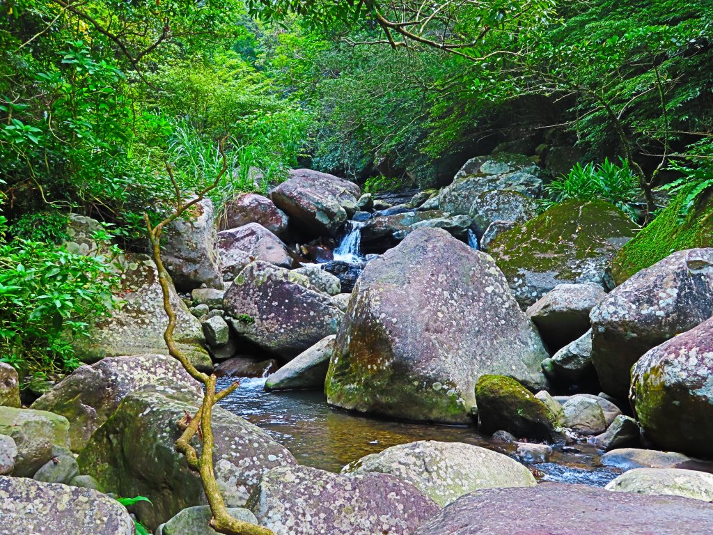 夏日水圳古道之旅：走坪頂古圳步道消暑去_637449
