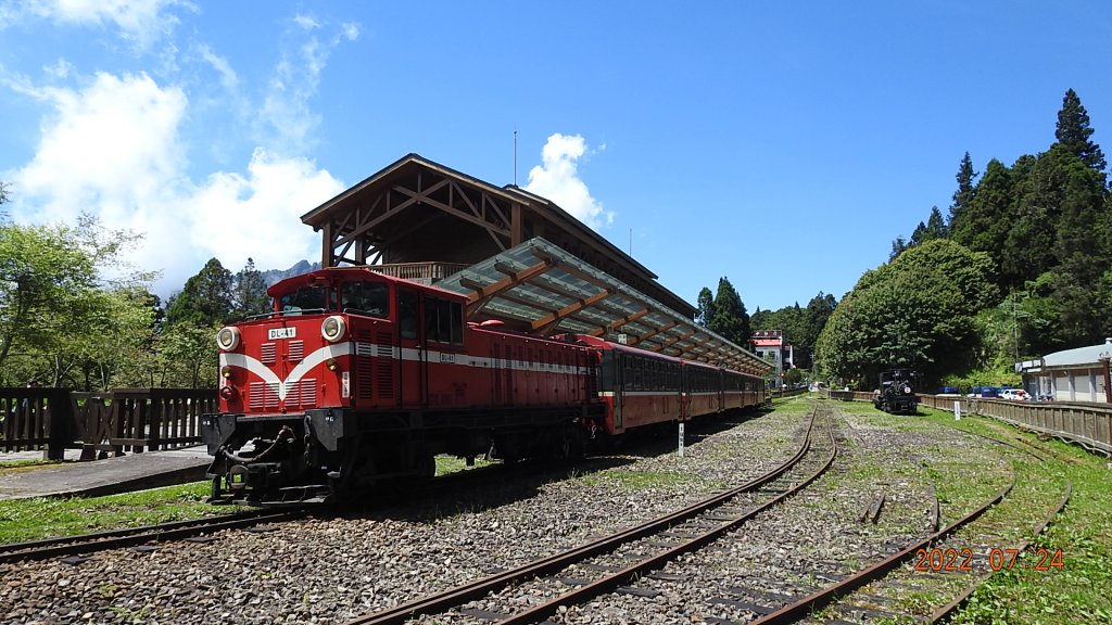 最高小百岳-大塔山2663M&阿里山二延平步道_1775094