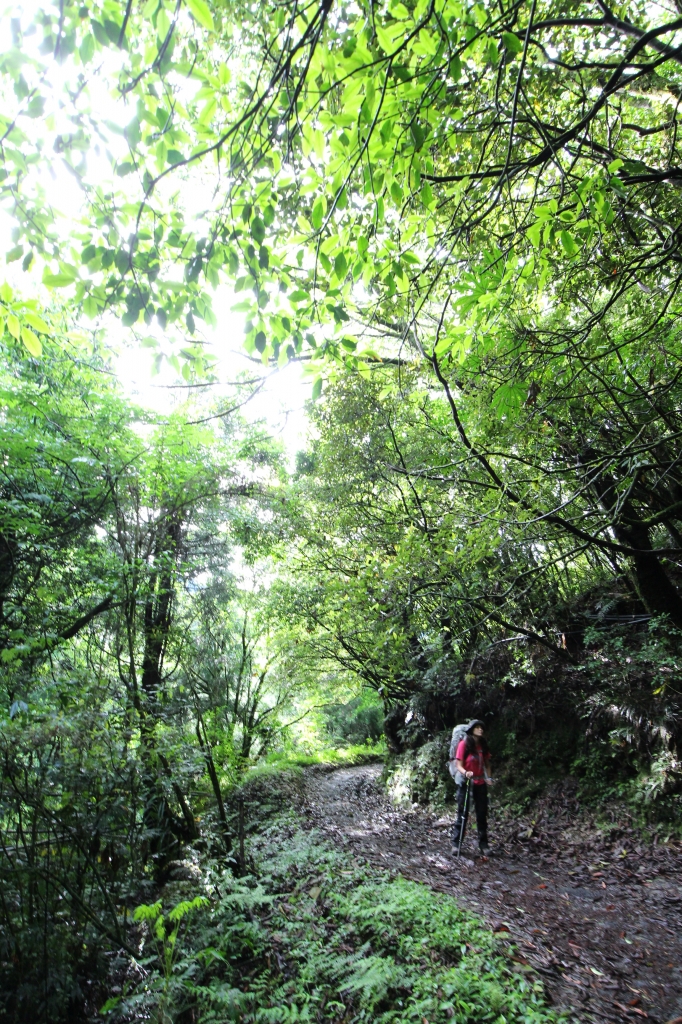 穿越歷史 : 能高越嶺，奇萊南華_58425