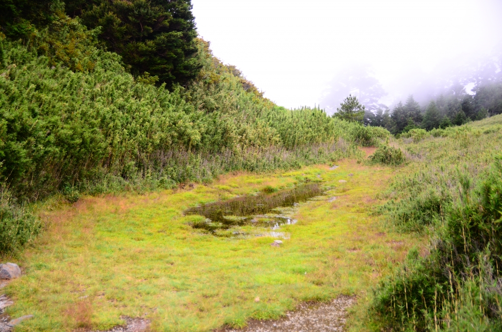 志佳陽大山一日行_72209