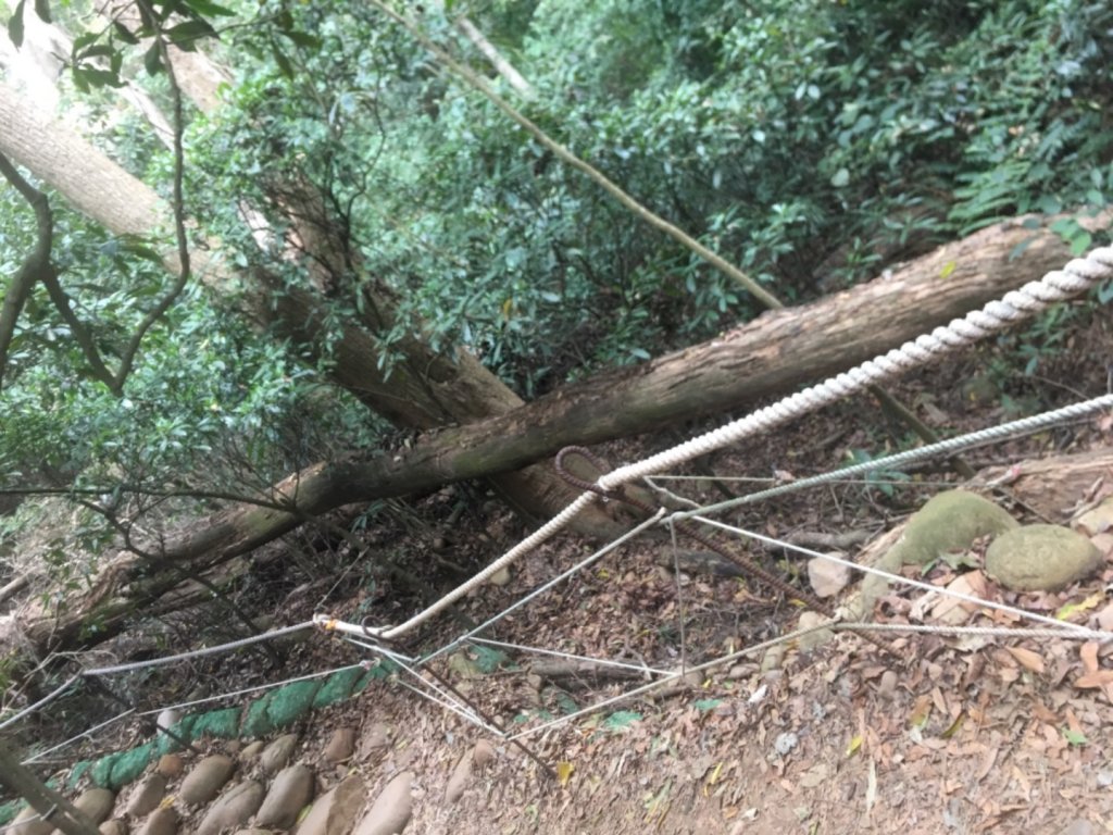 2020.3.27火炎山登山步道完走_905013