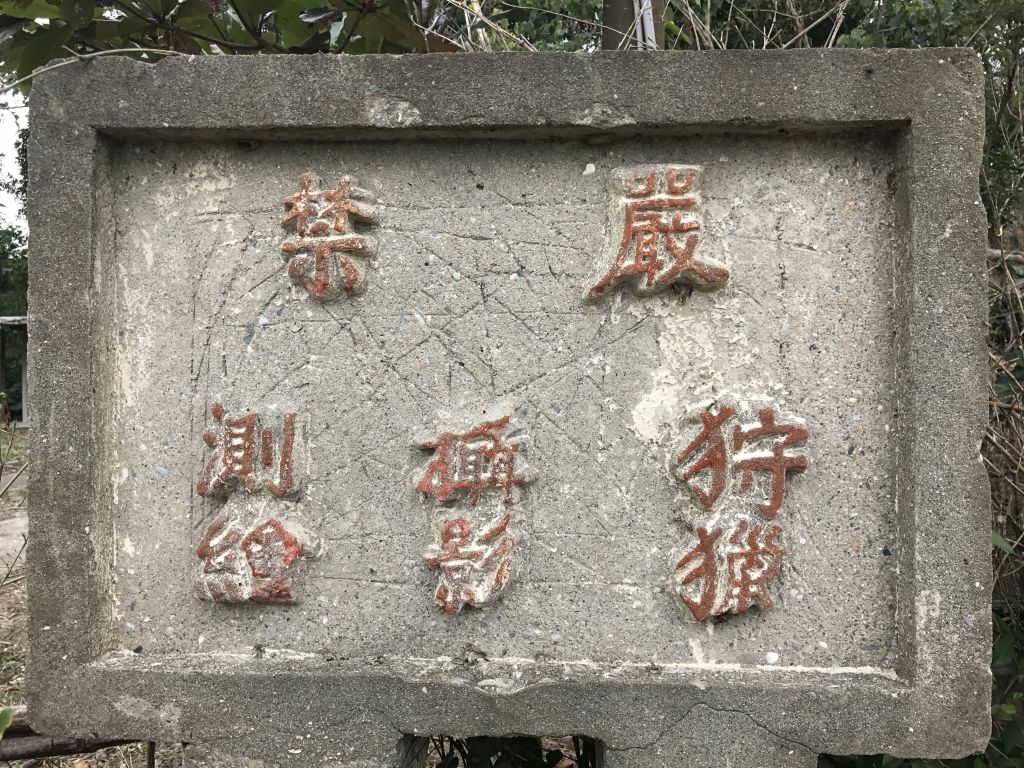 花蓮山步道(七七高地)_196167
