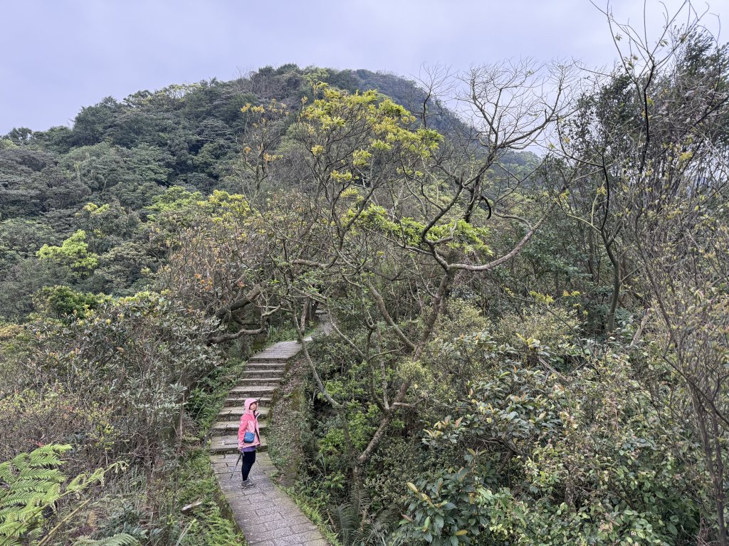 汐止大尖山-20250317_2770524