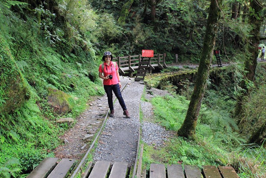 見晴懷古步道_305102