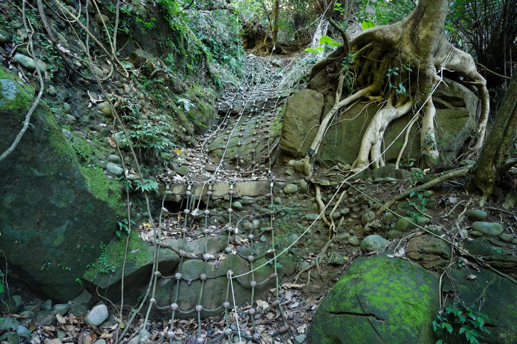 臺中 霧峰 奧山、砲台山_2715359