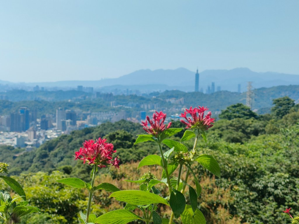 1110723 銀河洞越嶺步道健走貓空步道群_1774899