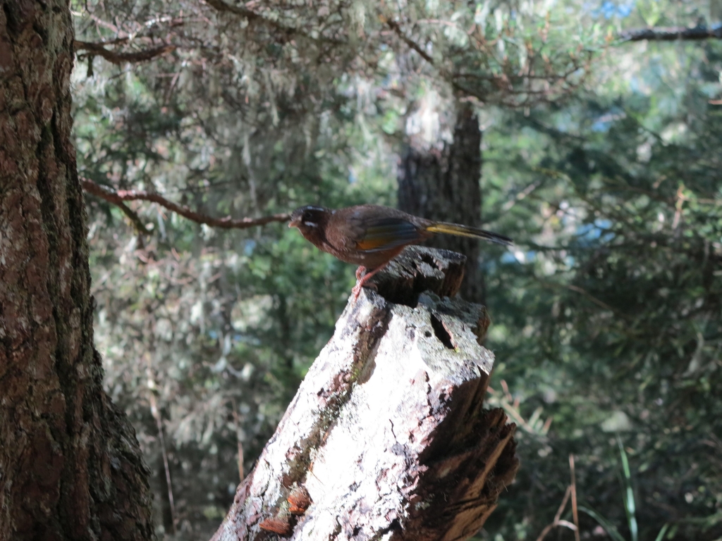 105.06.19-22 白沙山社雪山行_50626