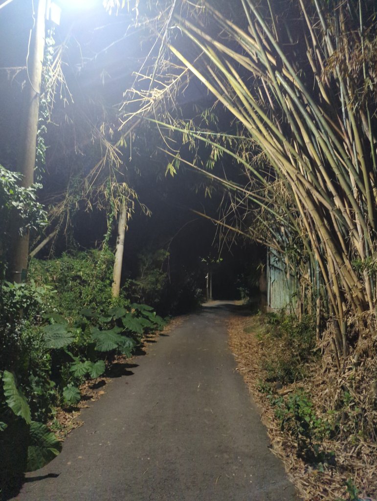 2025.03.03－嘉義後山夜間漫遊_2728110