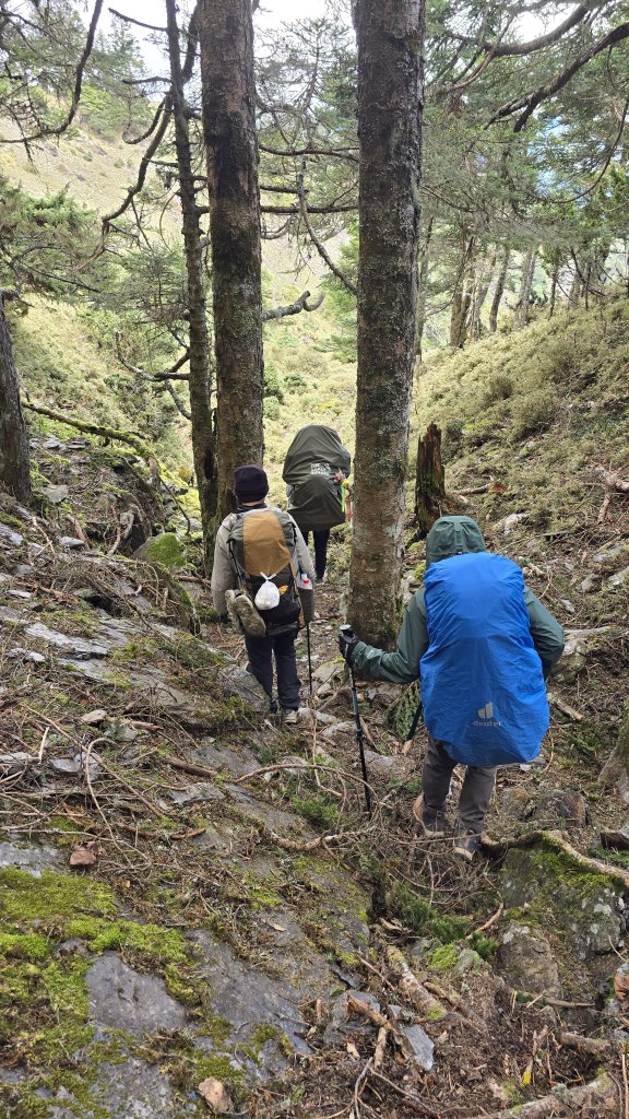 20241124-1130 南二段10座百岳_2665417