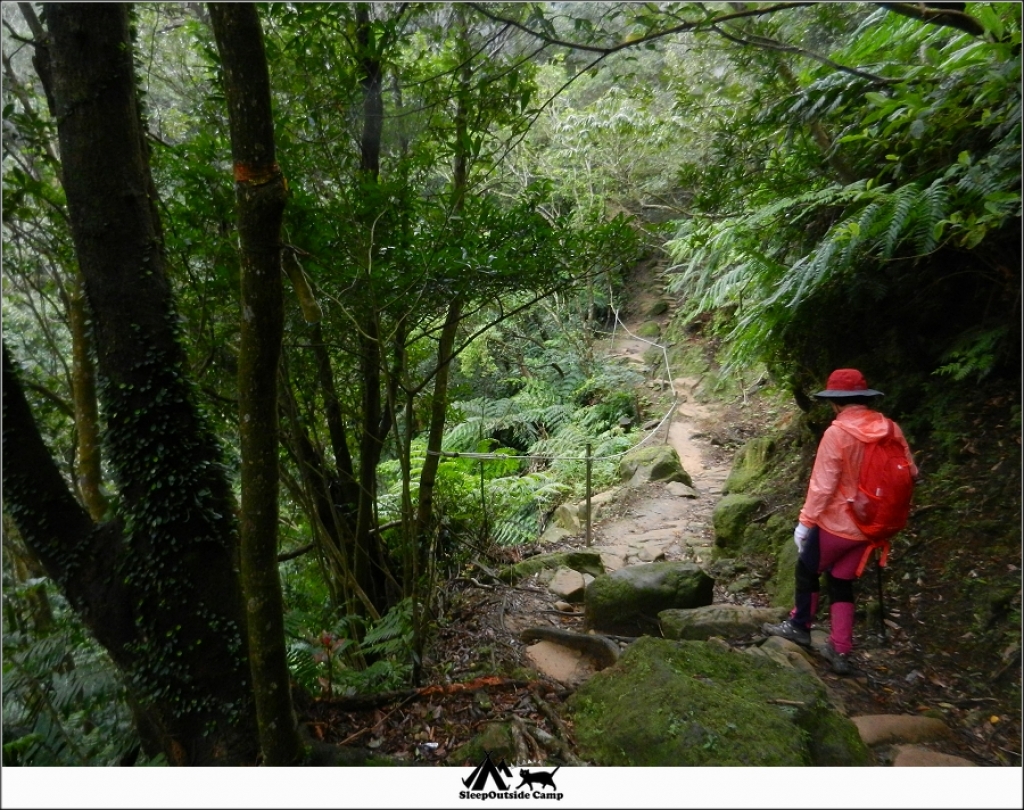 新北深坑二格山(阿柔洋線)_260050