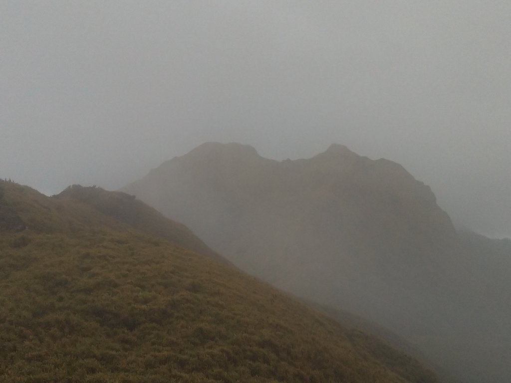 【南投縣仁愛鄉】能高主奇萊南南華山(中)_877194