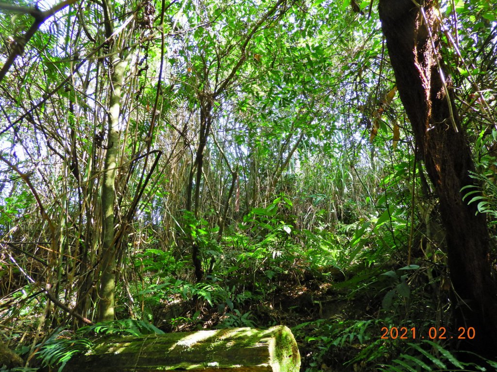 宜蘭 頭城 窖寮山(未竟)_1278620