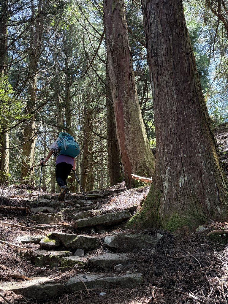 馬崙山 20250906_2889338