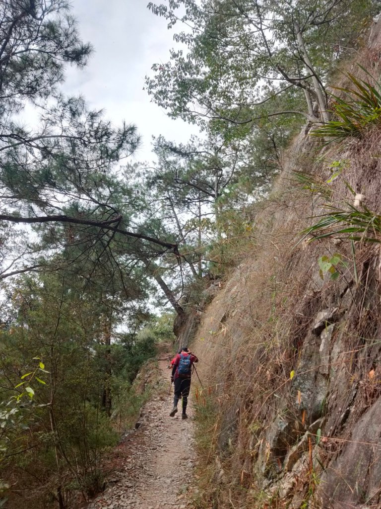 谷關七雄之東卯山_1145399