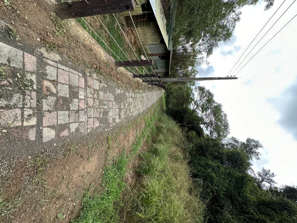 苗栗三灣-龍峎頂古道_2623339