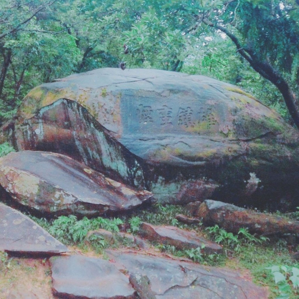 迷霧中的芒花海【草嶺古道】_454042