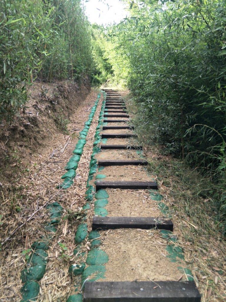 鐘樓古道_1431922