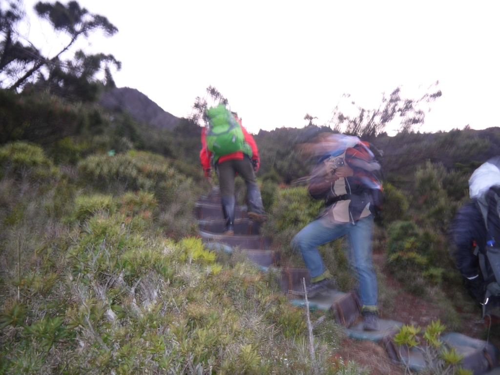 2016-0617~19嘉明湖_50941