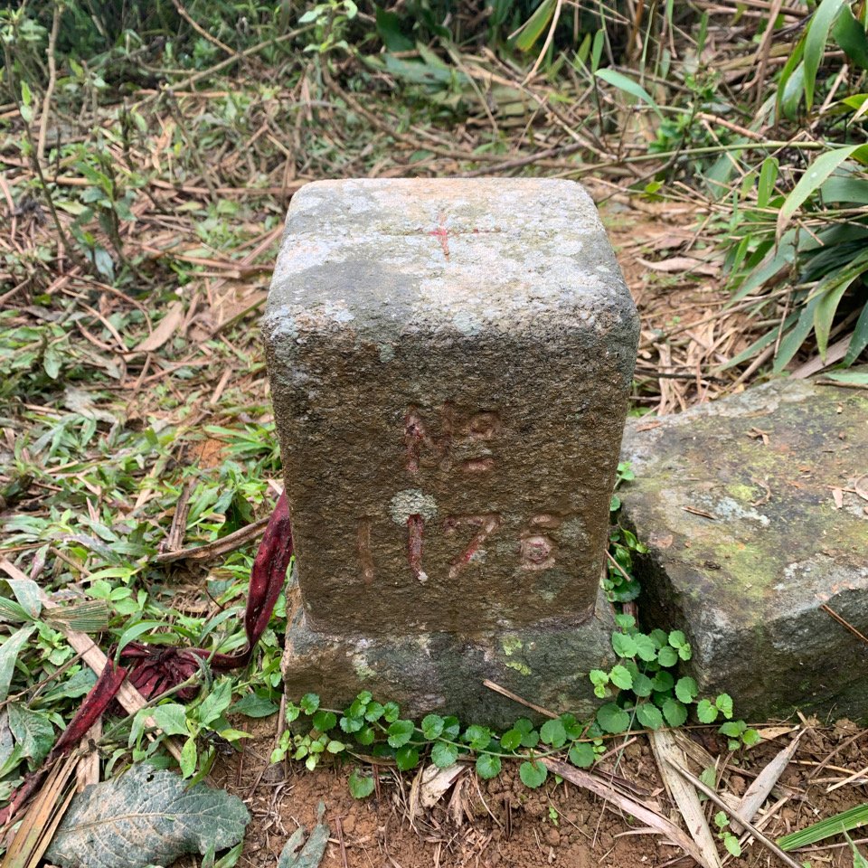 20260124屏東老佛山-老佛山南峰_2992214