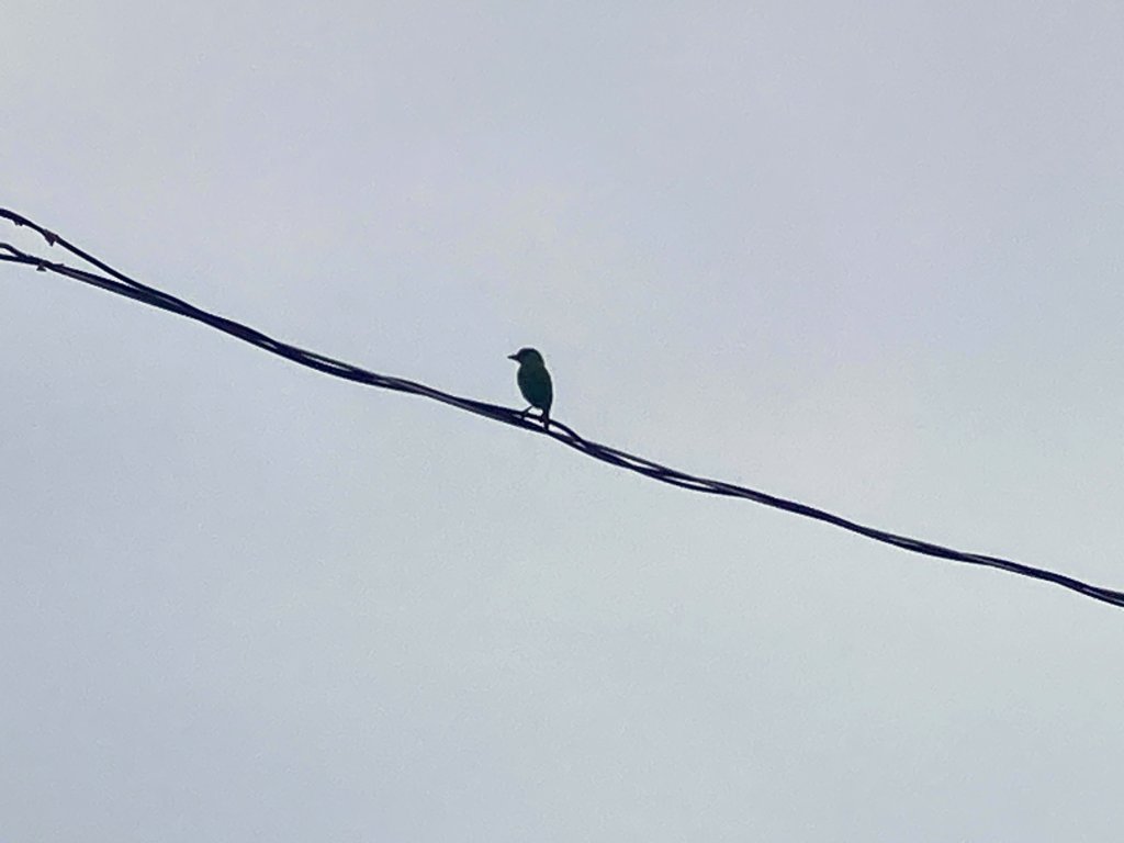 阿罩霧山_2600948