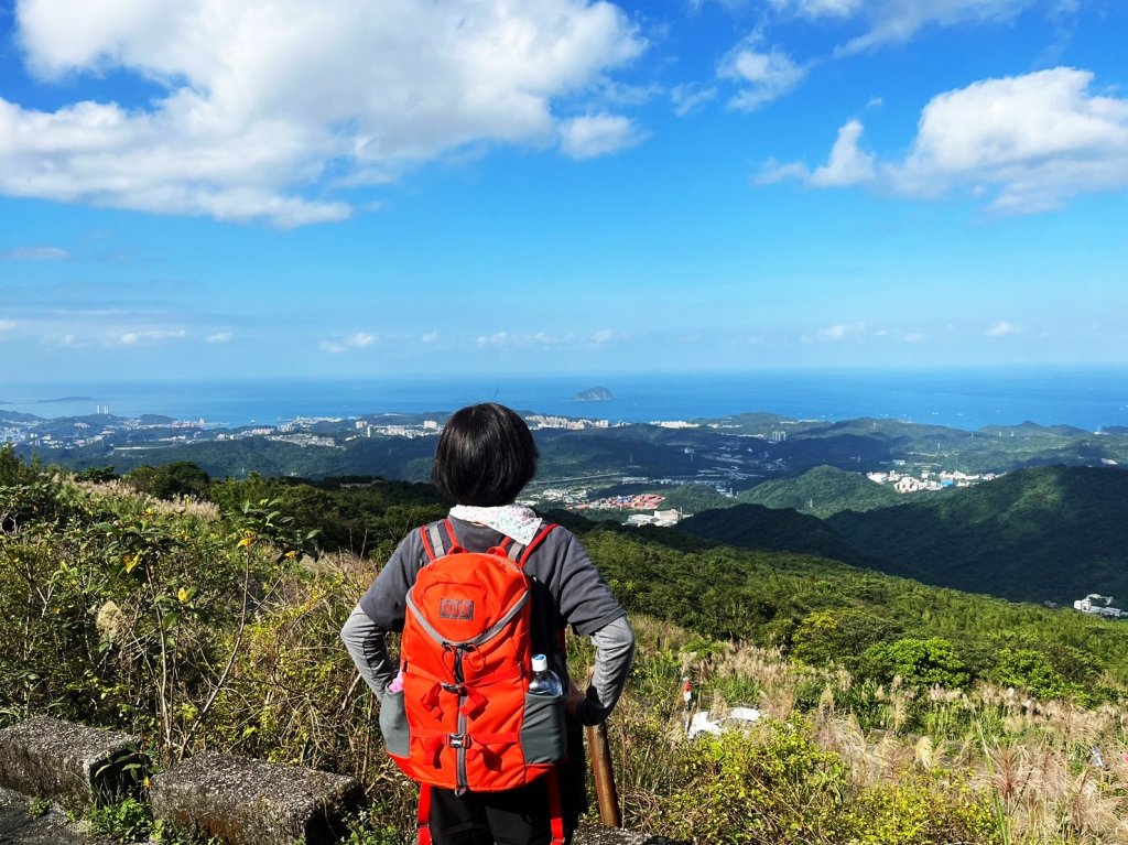 愛在秋芒紛飛時...五分山_2353766