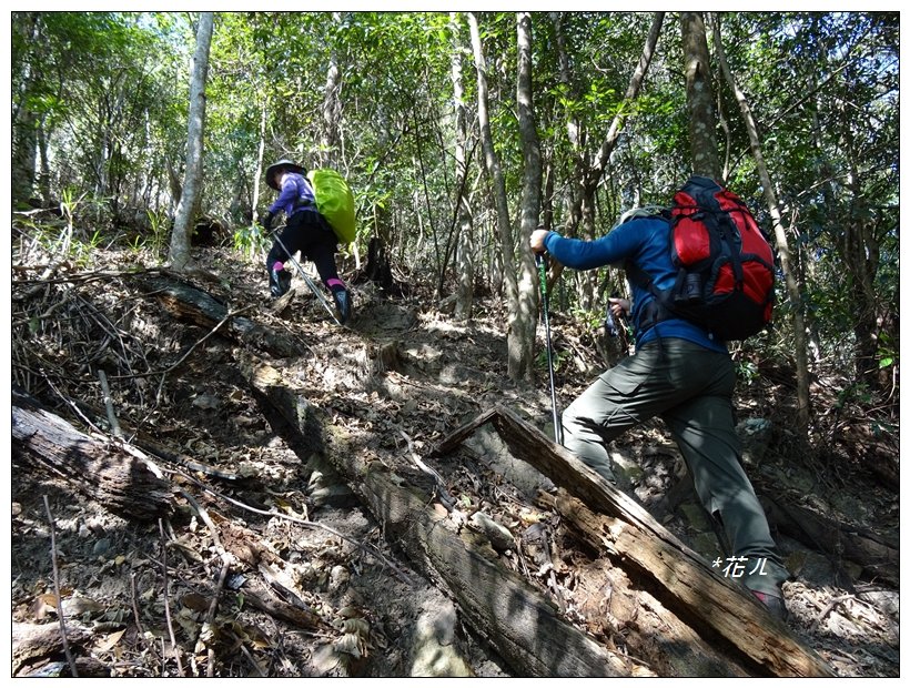 谷關/阿白縱走_822049