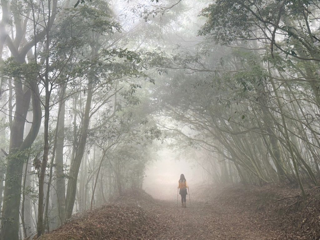 雪霸國家公園 雪見遊憩區 東洗水山_2928541