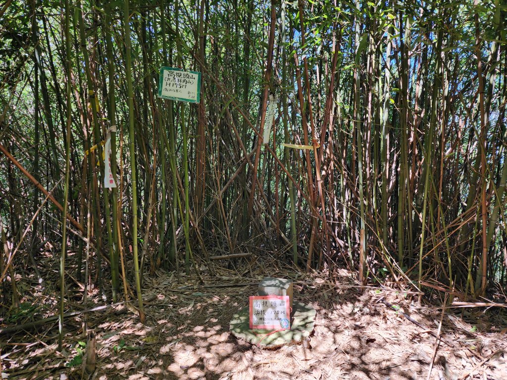 文林古道_2410464