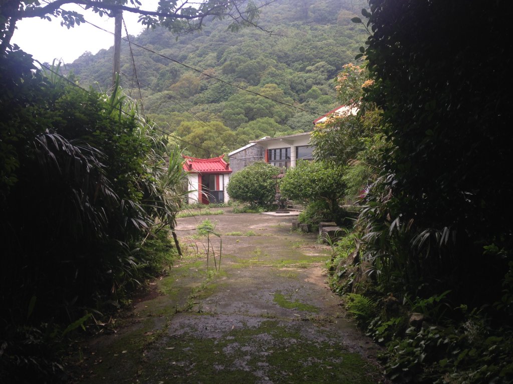 向天池，向天山，面天山_590005