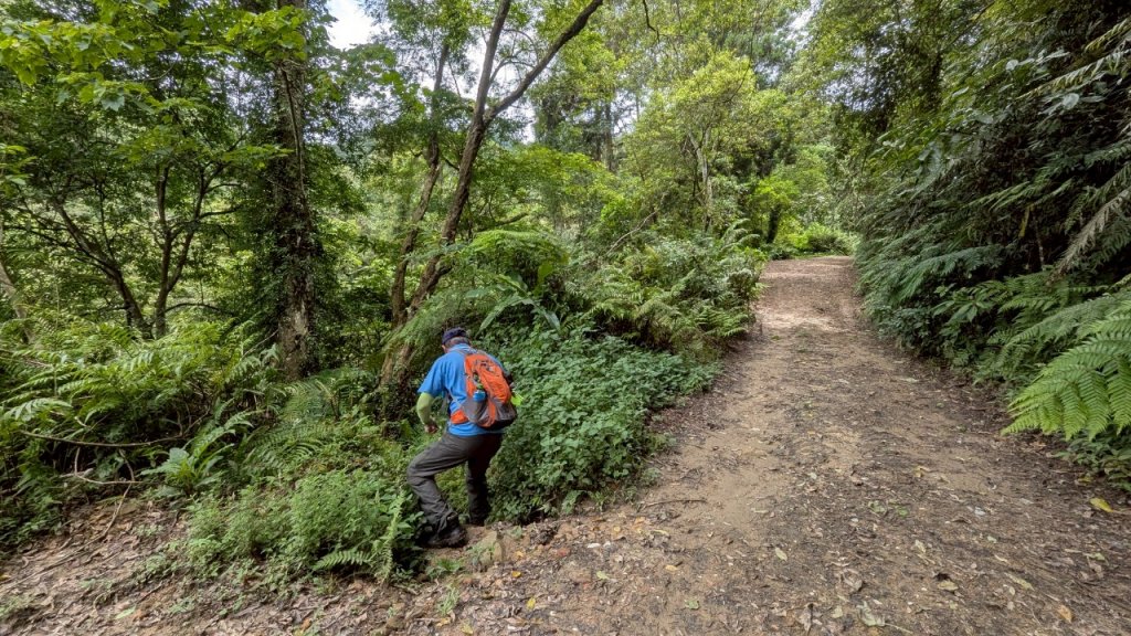 114.06.14雙石縱走&石門水庫-石牛山之旅_2812262