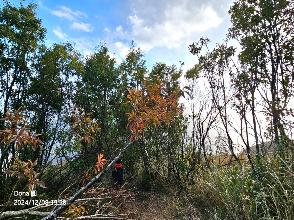 追趕跑跳蹦的羅馬縱走_2666271