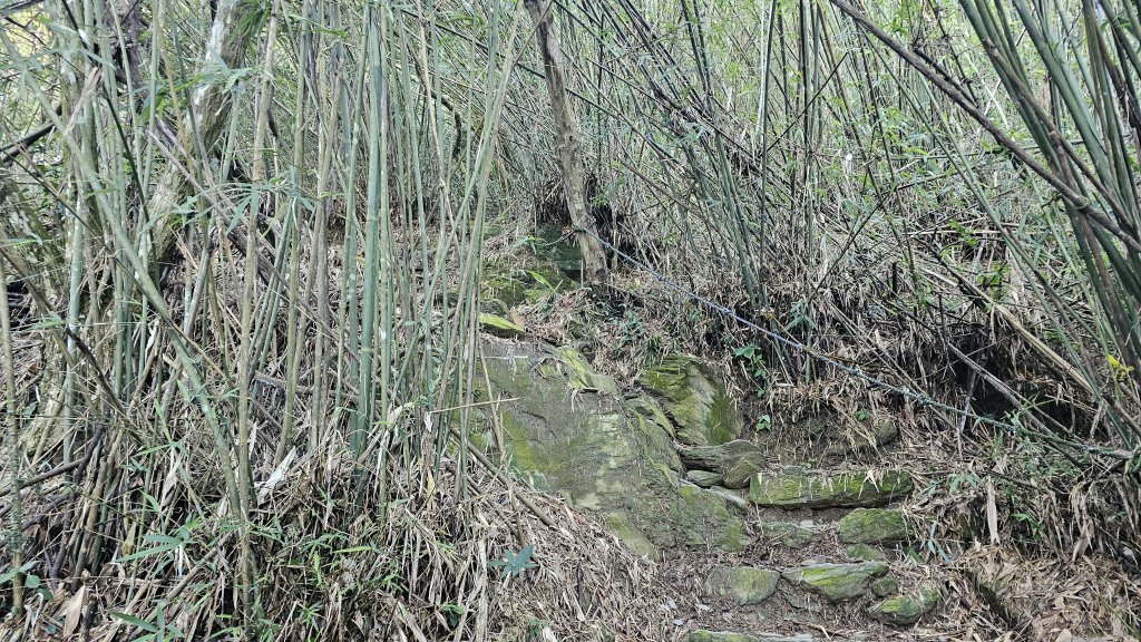 平步青雲尾寮山尋寶_2591490