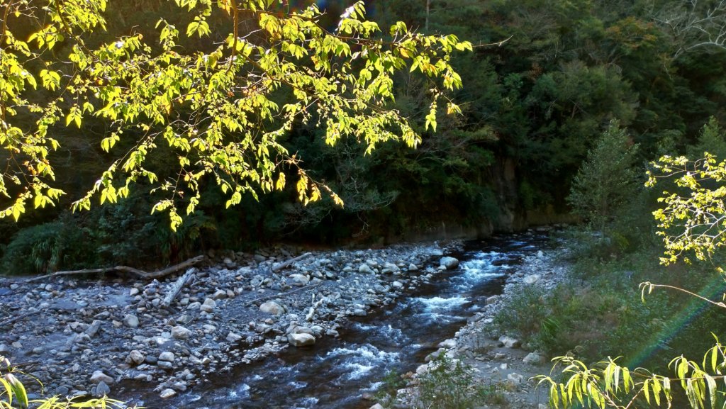 單攻志佳陽大山2019/11/16_737290