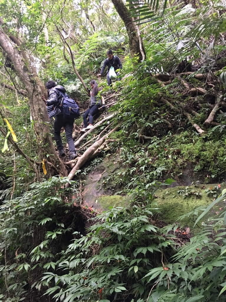 106.01.22 平溪孝子山、中央尖山行_93053