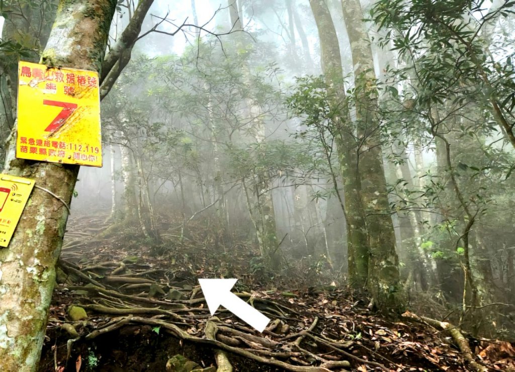 【中級山】水雲三星，鳥嘴山（上島山）_2743368