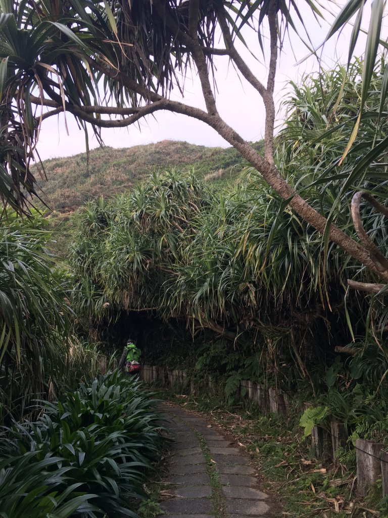 新北 瑞芳 鼻頭角秘境_855655