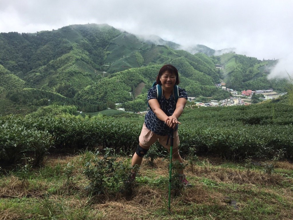 梨子腳山的續腳行程之太平雲梯_468255