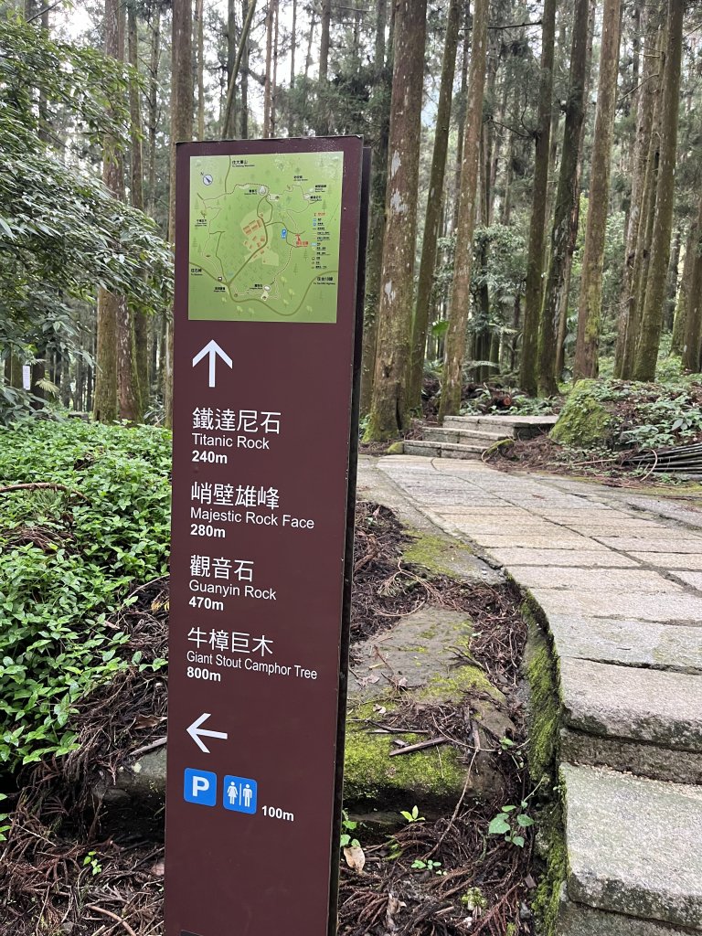 [嘉遊好步道．來嘉走走-04/10] 2024_1011 阿里山頂湖步道_2624674