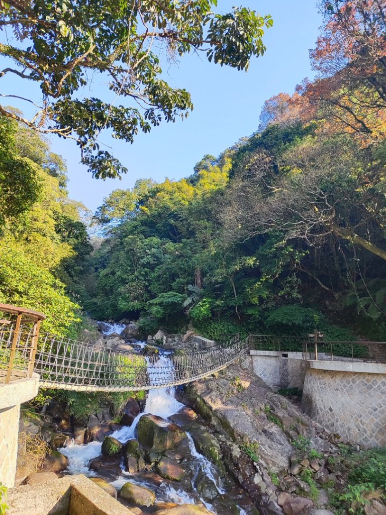 草山觀瀑吊橋-百年楓香巨木-草山水管支線-大屯瀑布-小隱潭瀑布_2982751