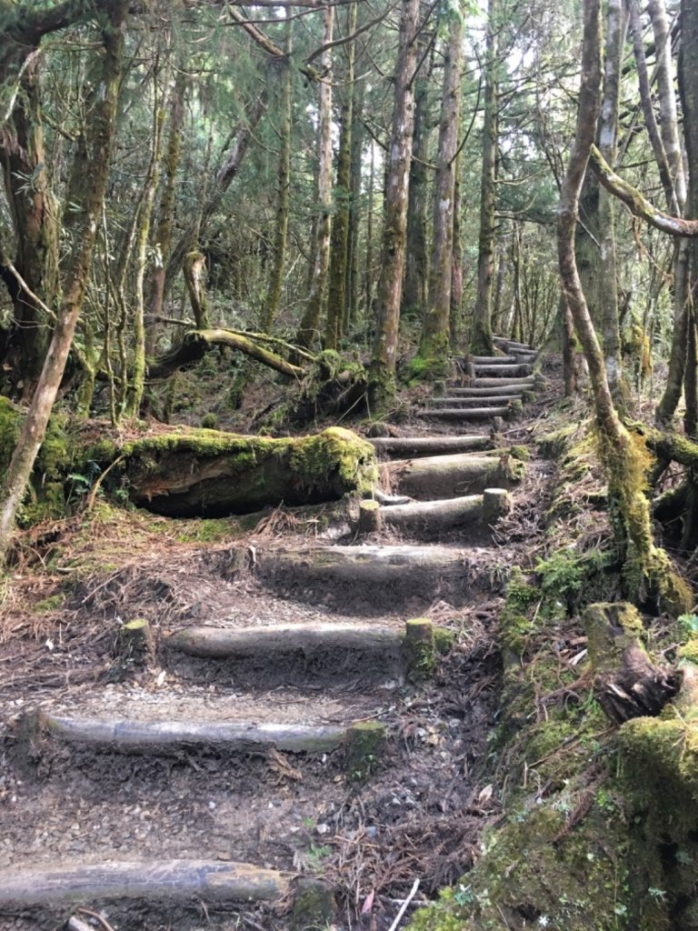 翠峰湖環山步道_884457