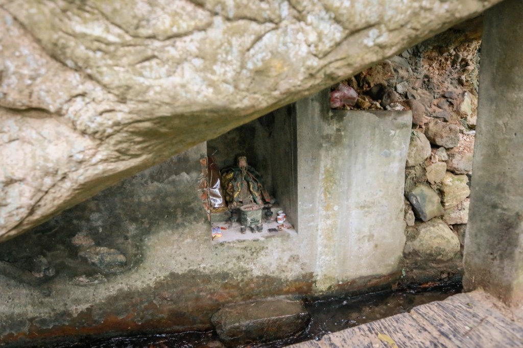 遇見淡水版花園鰻 - 半嶺水圳步道上游段 & 松溪瀑布_2651163