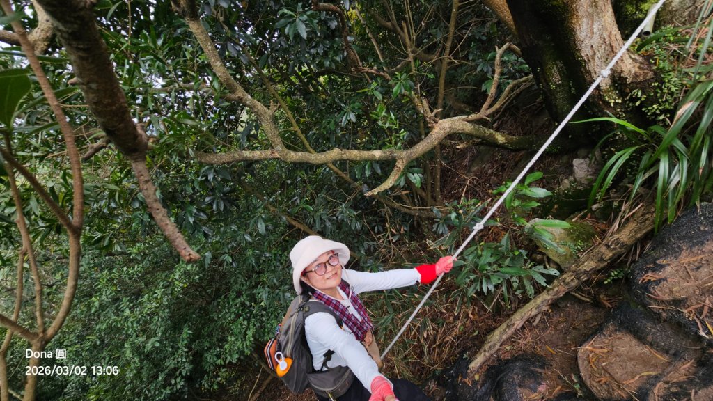 20260302忠義山.小坪頂山.貴子坑山大O走_3009918