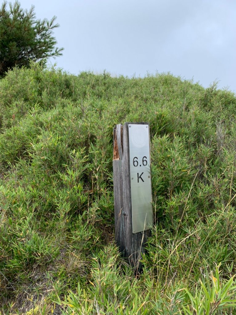 2019.09.28合歡西北峰_690621