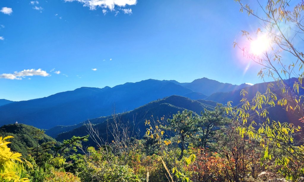 【中級山縱走】羅馬縱走，走進神木的夢幻童話森林世界_2943173