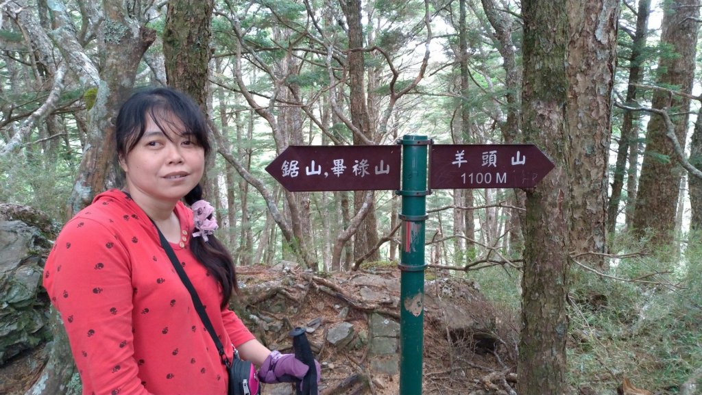 2018/11/25羊頭山_465308